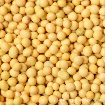 Vacuum Peasant Specialty High protein Yellow Soybeans